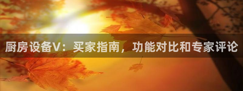尊龙d88皆选ag发财网：厨房设备V：买家指南，功能对比和专