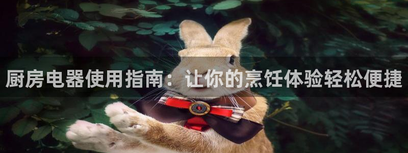 凯时平台登录：厨房电器使用指南：让你的烹饪体验轻松便捷