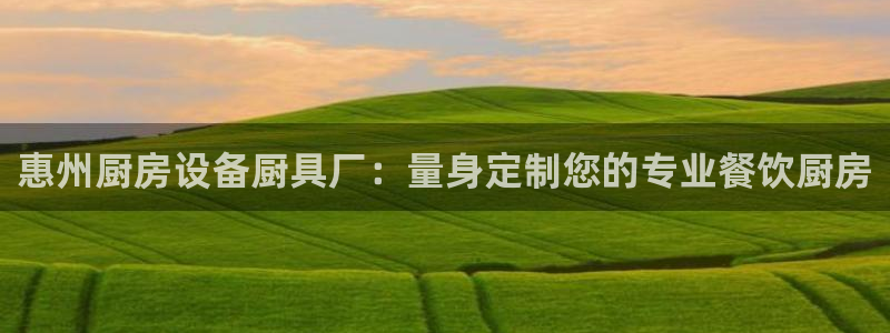 尊龙凯时网娱乐最新版下载：惠州厨房设备厨具厂：量身定制您的专
