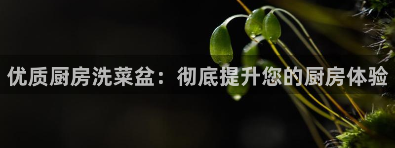 尊龙凯时提不了款：优质厨房洗菜盆：彻底提升您的厨房体验
