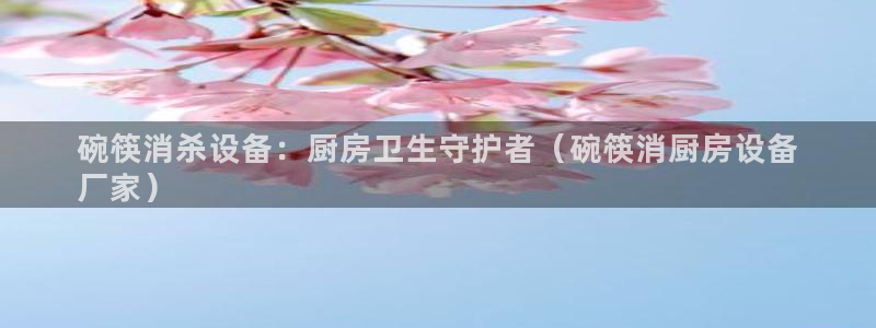 尊龙人生就是博手机版下载：碗筷消杀设备：厨房卫生守护者（碗筷
