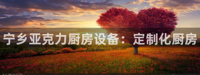 尊龙集团有限公司是国企吗