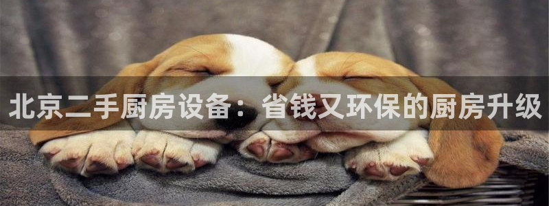 尊龙服饰有限公司地址