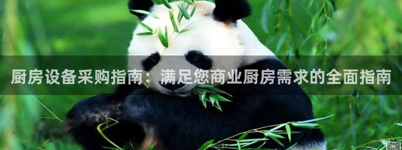 尊龙凯时这个平台怎么样