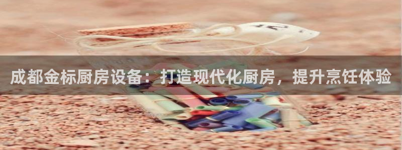 尊龙ag旗舰厅手机版：成都金标厨房设备：打造现代化厨房，提升
