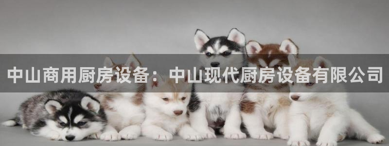 尊龙z6官网ag：中山商用厨房设备：中山现代厨房设备有限公司