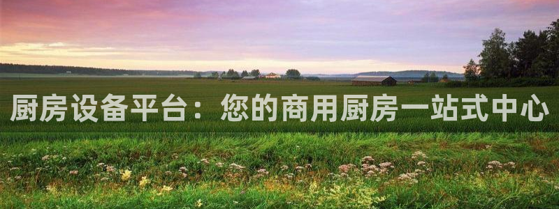 尊龙凯时app官网：厨房设备平台：您的商用厨房一站式中心