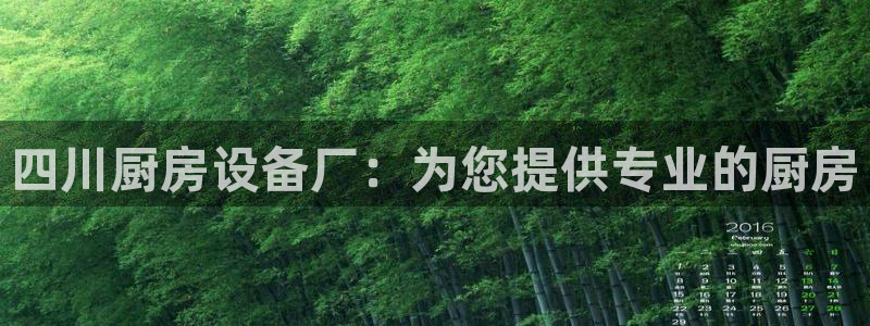 尊龙凯时官网版登录：四川厨房设备厂：为您提供专业的厨房