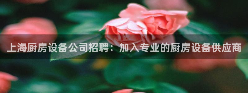 尊龙ktv怎么样：上海厨房设备公司招聘：