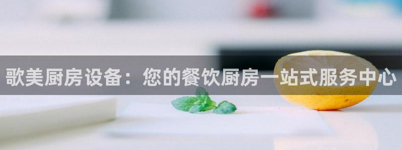 尊龙网页：歌美厨房设备：