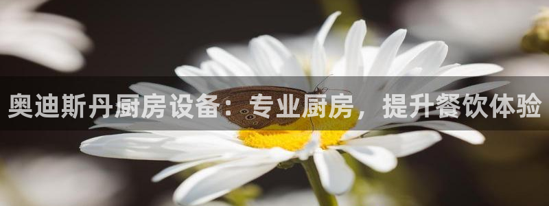 尊龙凯时投诉最狠的方法：奥迪斯丹厨房设备：专业厨房，提升餐饮