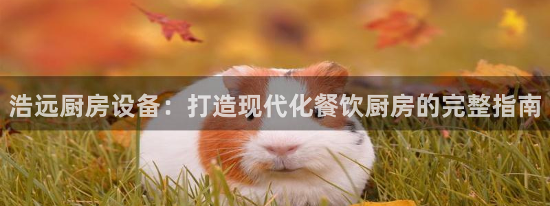 尊龙现金娱乐 下载：浩远厨房设备：打造现