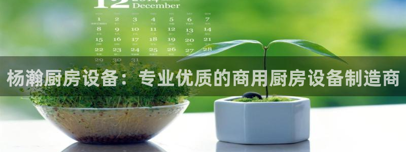 凯时K8国际：杨瀚厨房设备：专业优质的商用厨房设备制造商