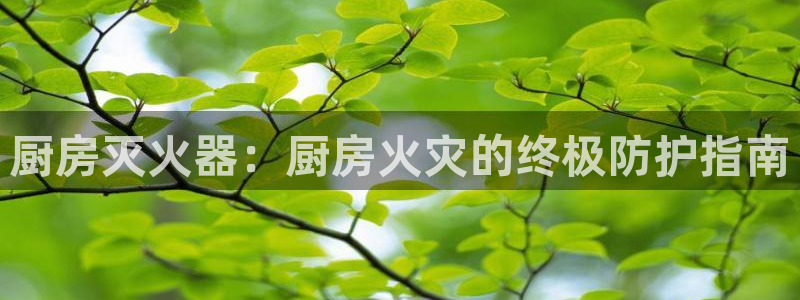 凯时app官方首页