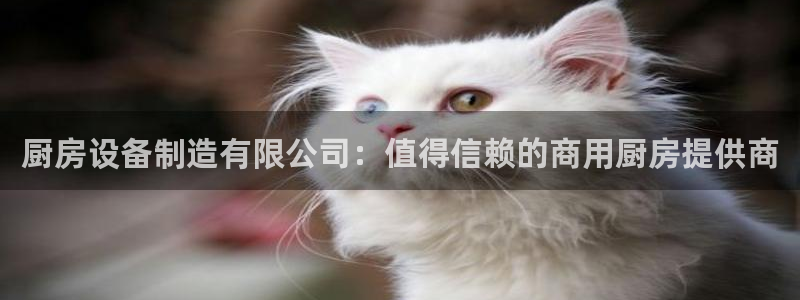 尊龙网站手机下载：厨房设