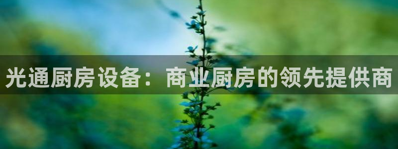 AG尊龙登陆网址
