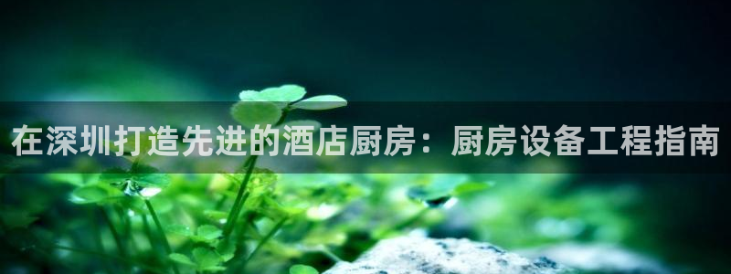 尊龙登录地址：在深圳打造先进的酒店厨房：