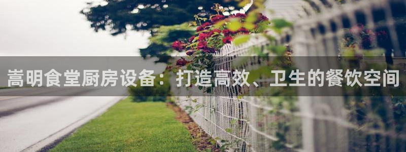尊龙凯时白家乐Abb下载