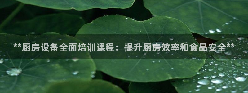 凯时官网：**厨房设备全