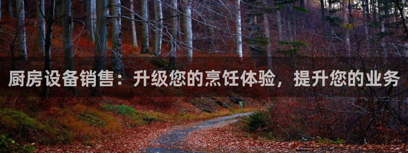 凯时kb88公司简介：厨房设备销售：升级