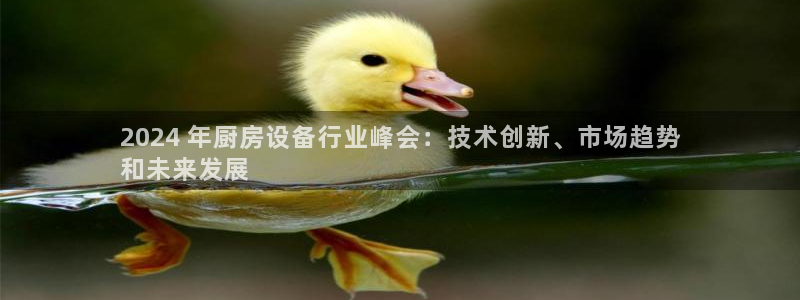 尊龙ag旗舰厅登录 租车app下载：2024 年厨房设备行业