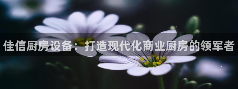 z6尊龙凯时旗舰厅首页：