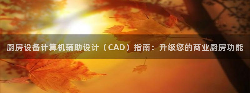 z6com尊龙凯时：厨房