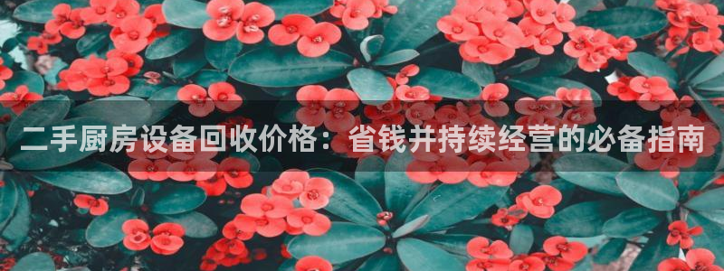 凯时k8官网首页