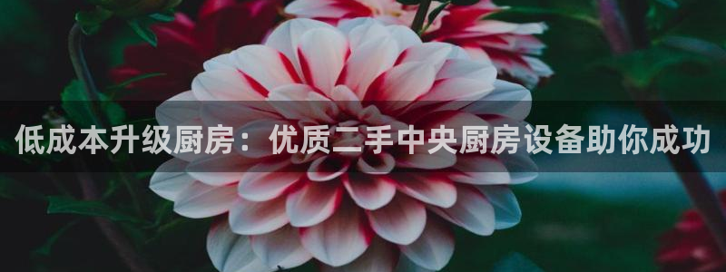 尊龙官网：低成本升级厨房：优质二手中央厨房设备助你成功