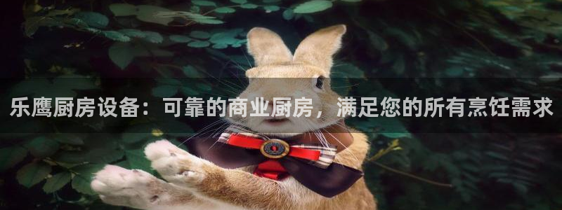 尊龙人生就是博旧版网址：