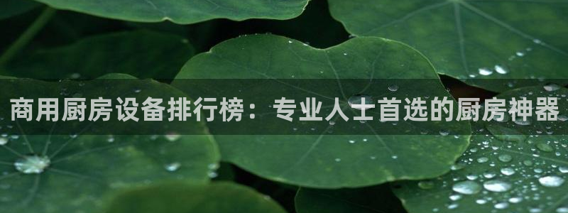 z6尊龙凯时旗