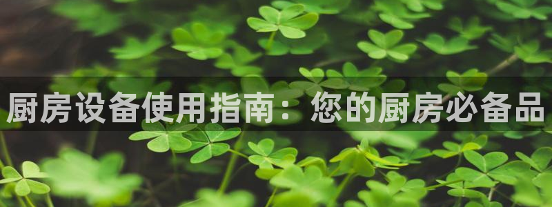 尊龙集团有限公司地址