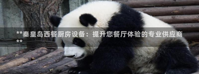 尊龙app登录不了：**秦皇岛西餐厨房设备：提升您餐厅体验的