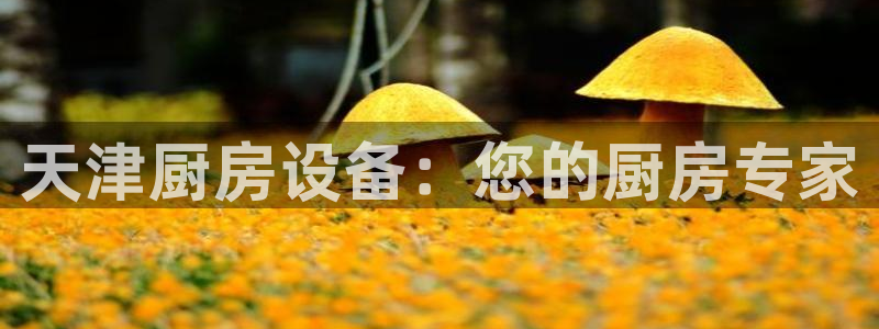 尊龙凯时人生就是搏z6c