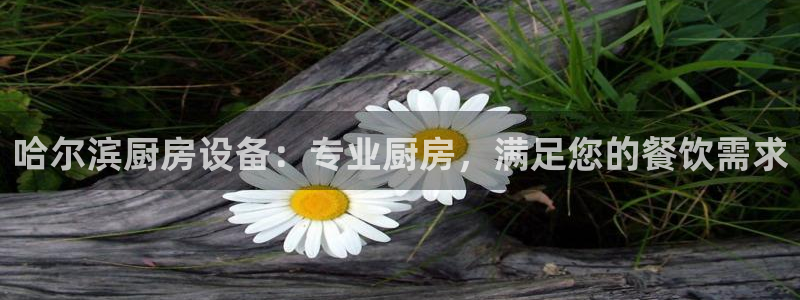 尊龙凯时福米推荐人：哈尔