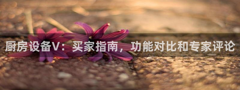 尊龙官方网址