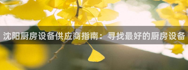 尊龙人生就是博旧版网址：沈阳厨房设备供应商指南：寻找最好的厨