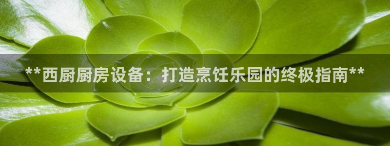 凯时国际最新：**西厨厨房设备：打造烹饪乐园的终极指南**