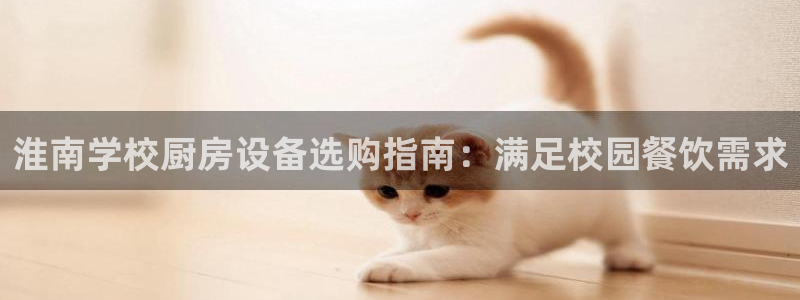 尊龙凯时客服：淮南学校厨房设备选购指南：