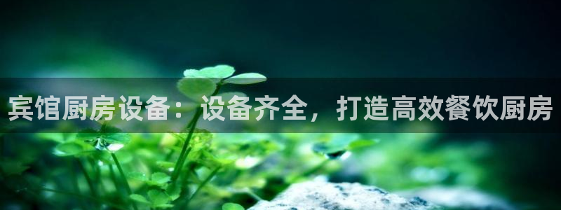 尊龙游戏官方网：宾馆厨房设备：设备齐全，打造高效餐饮厨房