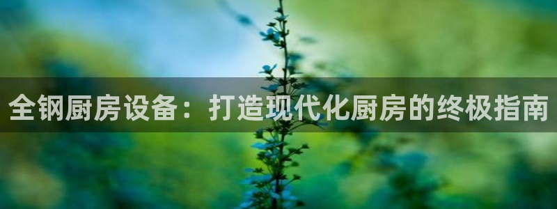 尊龙官网：全钢厨房设备：