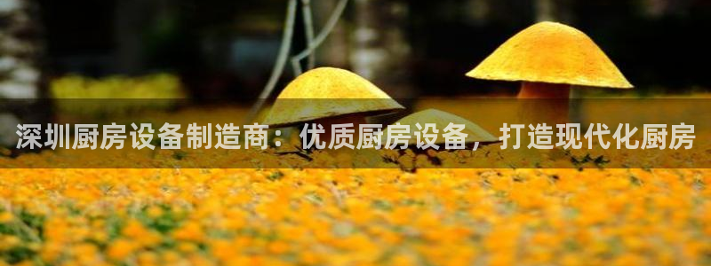 尊龙凯时平台不给出款怎么办：深圳厨房设备
