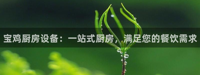 尊龙凯时家居是品牌吗：宝