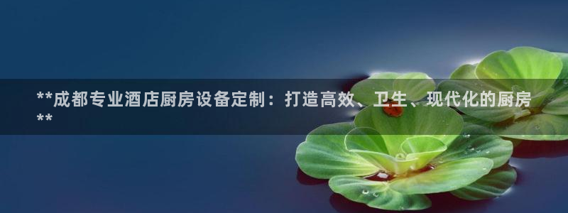 尊龙凯时官方网站：**成都专业酒店厨房设备定制：打造高效、卫