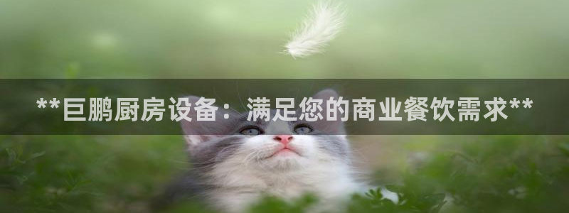 尊龙凯时和九游会哪个平台好一点：**巨鹏厨房设备：满足您的商