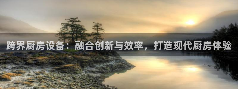 尊龙凯时网站首页手机登录：跨界厨房设备：融合创新与效率，打造