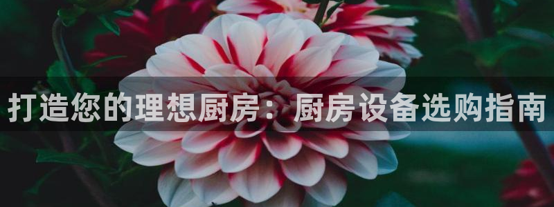 尊龙百度贴吧：打造您的理