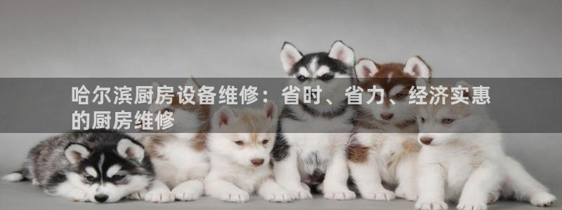 尊龙d88官网登录：哈尔滨厨房设备维修：省时、省力、经济实惠