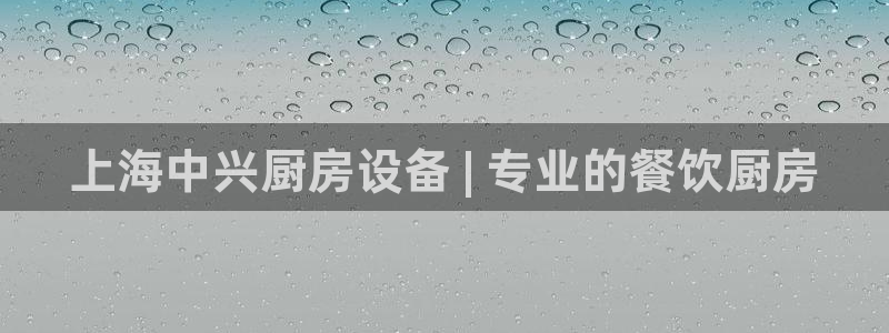 尊龙凯时注册地址：上海中兴厨房设备 | 专业的餐饮厨房