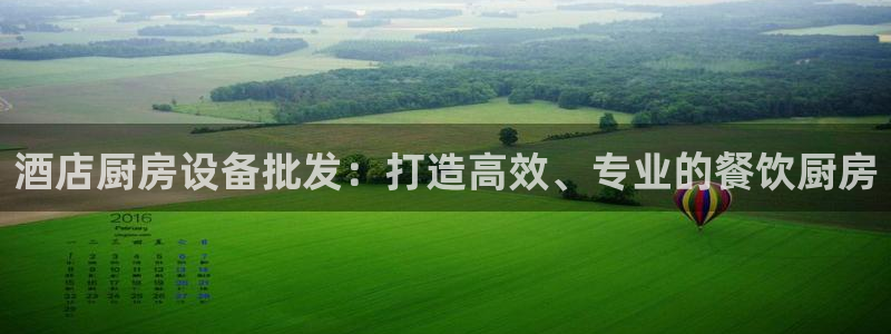 尊龙人生就是博D88：酒店厨房设备批发：打造高效、专业的餐饮
